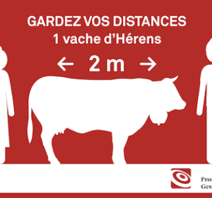 <span>COVID-19</span><i>→</i>